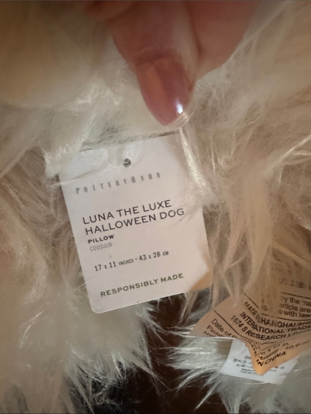 Pottery Barn Luna the Luxe Halloween Dog Pillow - NWT! - Picture 8 of 8